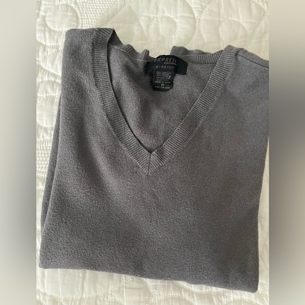 Express Fitted V-Neck Sweater